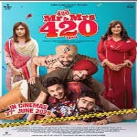 Mr & Mrs 420 Again (2025)