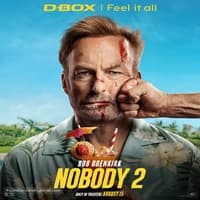 Nobody 2 (2025) Hindi Dubbed