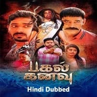 Pagal Kanavu (2025) Hindi Dubbed