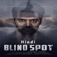 Blind Spot (2025) Hindi Dubbed