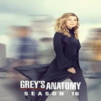 Greys Anatomy (2019) English Season 16 Complete