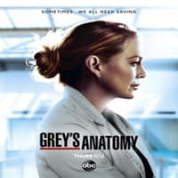 Greys Anatomy (2020) English Season 17 Complete